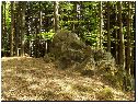 2008, Jiříkův kámen v lese Březina, foto František Mach