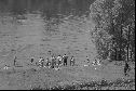 po r. 1960, koupání v rybníku Peklo