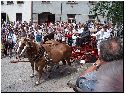 2003, slavnost 140 let od velkého ohně, foto František Mach