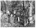1960, židovský hřbitov