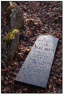 2009, povalený pomník na židovském hřbitově, foto Jan Prchal